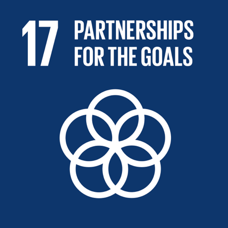 Textual image showing: Partnerships for the goals